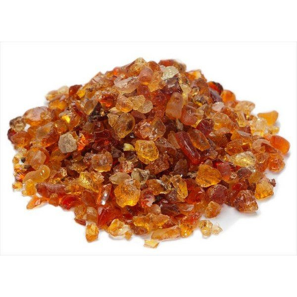Acacia à gomme