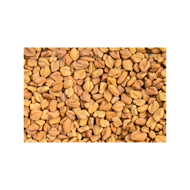 Fenugrec BIO, Trigonella foenum-graecum - Graines