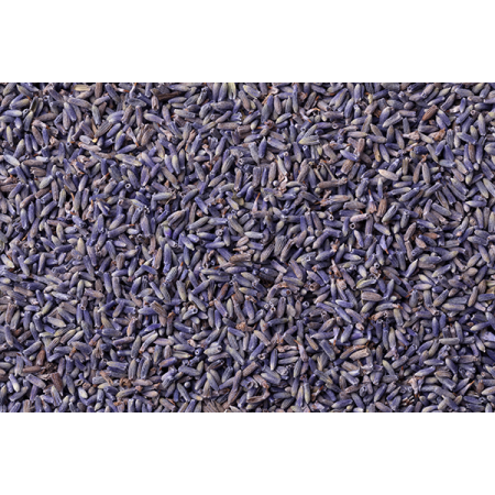 Lavande vraie BIO, Lavandula angustifolia - Tisane