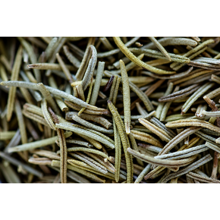 Romarin, Salvia Rosmarinus - tisane