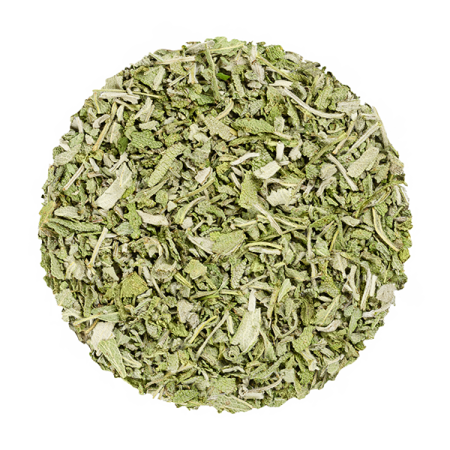 Sauge officinale, Salvia officinalis, - Tisane