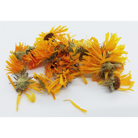 Souci, Calendula officinalis - Tisane