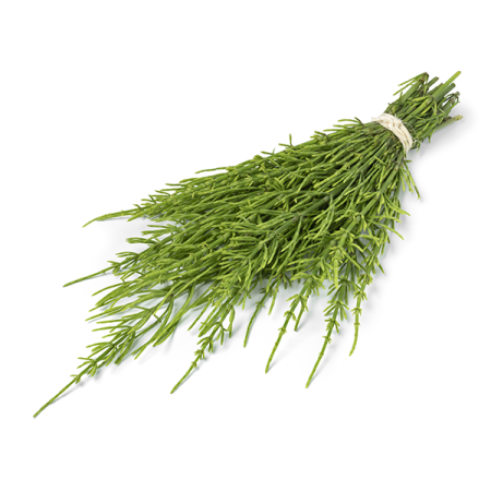 Prêle des champs BIO, Equisetum arvense - Tisane