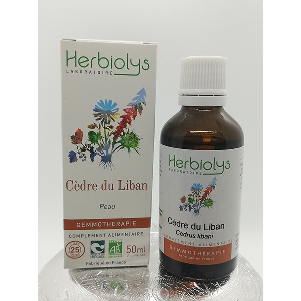 Cèdre du Liban - Cedrus libani - Bourgeon frais bio