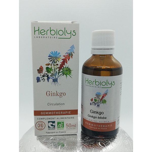 Ginkgo - Ginkgo biloba - Bourgeon frais bio