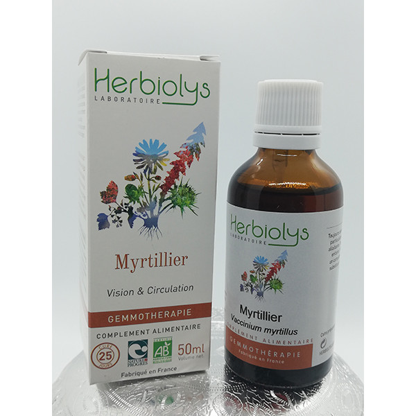 Myrtillier - Vaccinium myrtillus - Jeune pousse fraîche bio