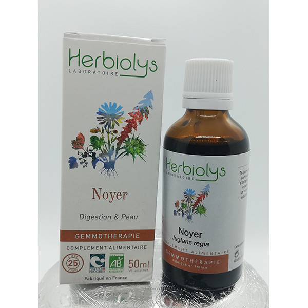 Noyer - Juglans regia - Bourgeon frais bio