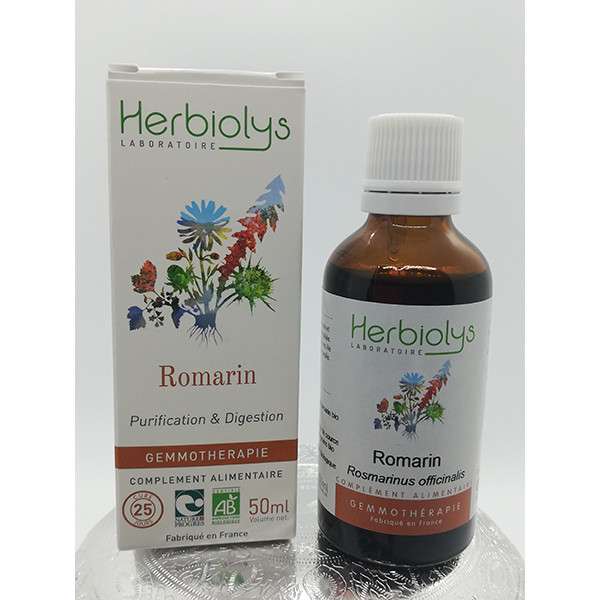 Romarin - Rosmarinus officinalis - Jeune pousse fraîche bio