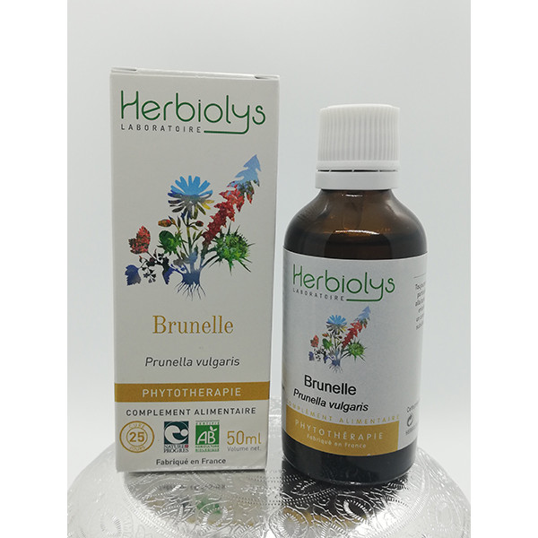Brunelle - Prunella vulgaris - Partie aérienne fraîche bio