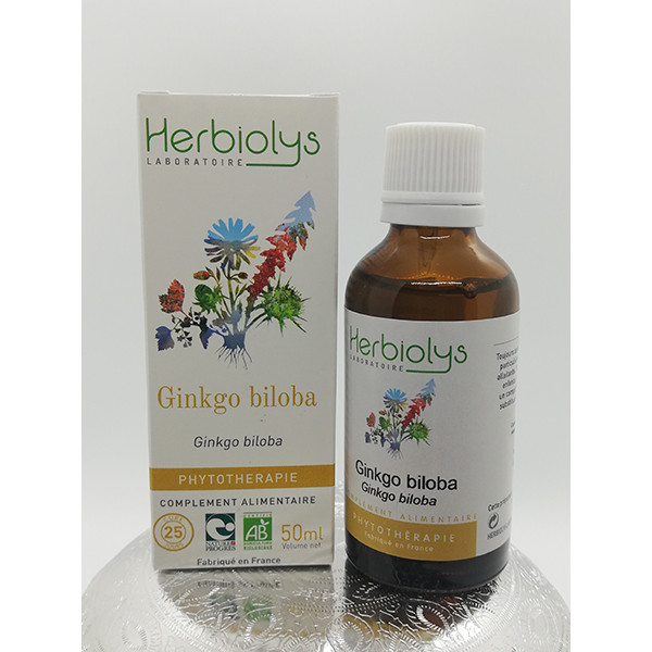 Ginkgo biloba - Ginkgo biloba - Feuille fraîche bio