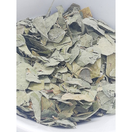 Desmodium adscendens, Tisane feuilles coupées
