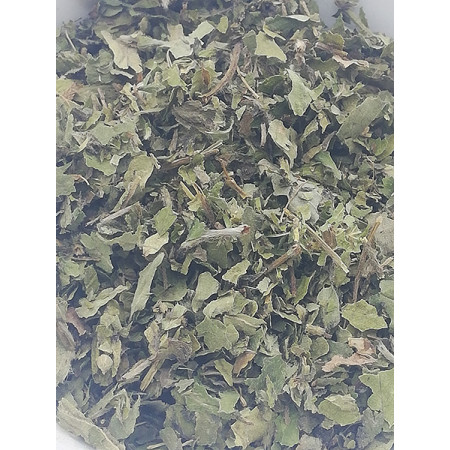 Feuilles de fraisier,  Fragaria vesca - Tisane