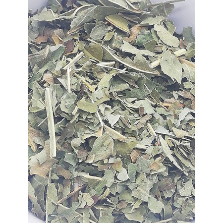 Feuilles de frêne, Fraxinus excelsior - Tisane