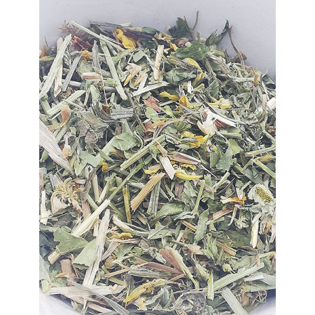 Lotier corniculé, Lotus corniculatus - Tisane