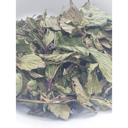 Menthe nanah (douce), Mentha spicata - Tisane