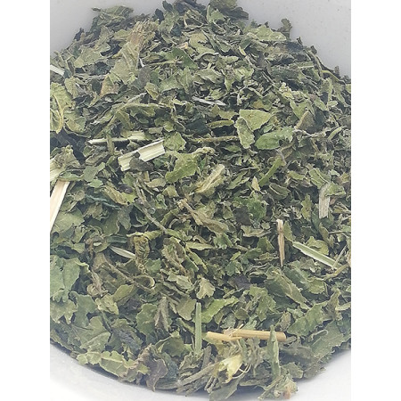 Ortie piquante, Urtica dioïca - Tisane