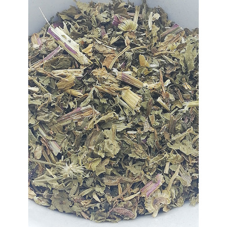 Grande camomille (partennelle), Tanacetum parthenium - Tisane