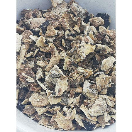 Radis noir, Raphanus sativus - Tisane