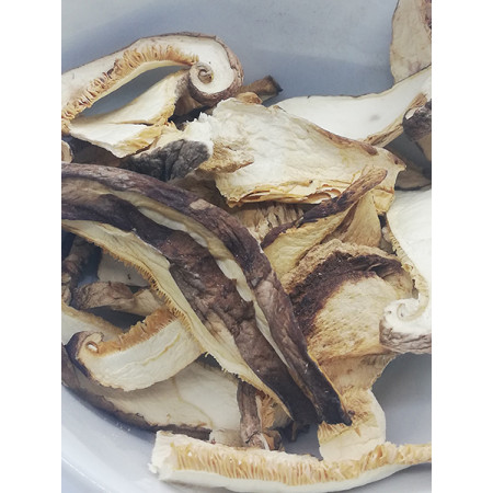 Shiitaké, Cortinellus shiitake - Tisane