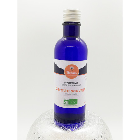 Hydrolat de carotte sauvage BIO, sans conservateur  - France