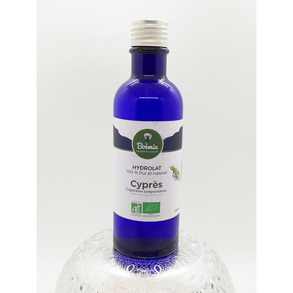 Cyprès - France - Sauvage Cupressus sempervirens