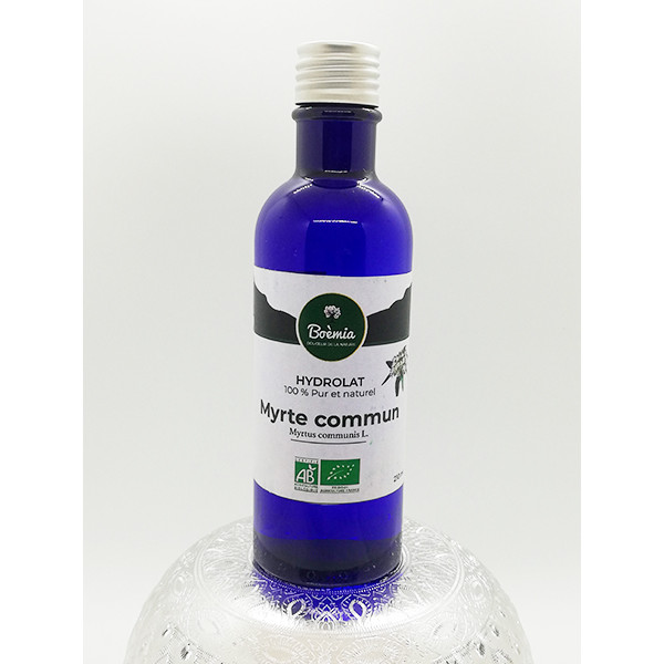 Myrte commun - France - Sauvage Myrtus communis