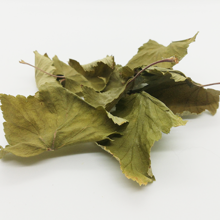 Cassis  BIO - feuille entière