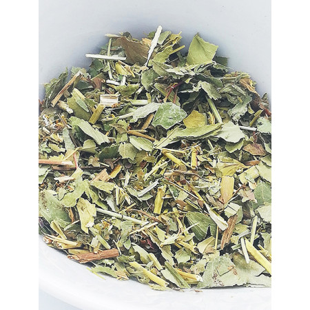 Tisane alchémille