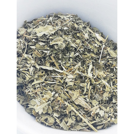 Basilic sacré, tulsi - Infusion