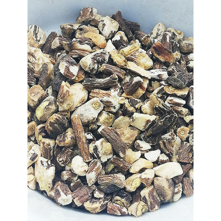 Pissenlit, Taraxacum officinale - Tisane