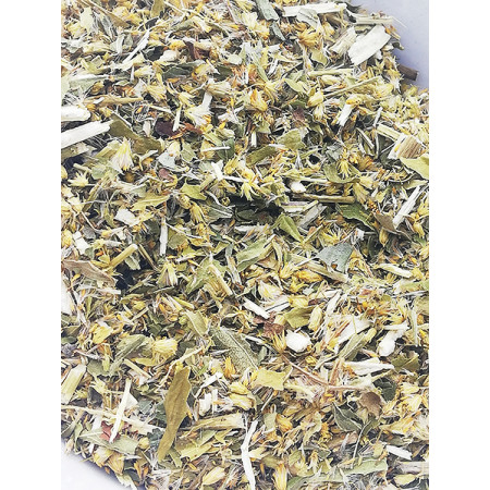 Solidage, verge d'or BIO, Solidago virgaurea - Tisane