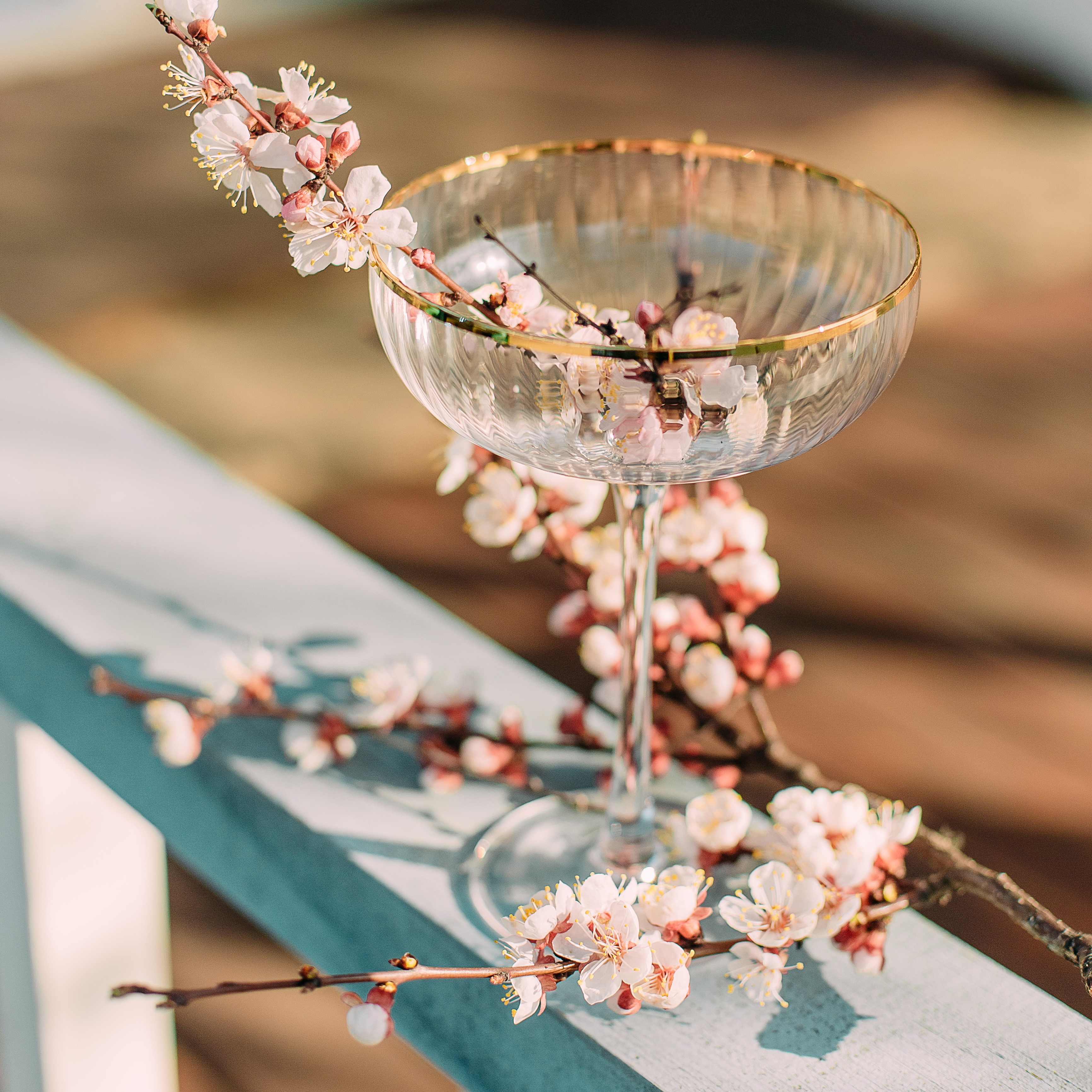 Pourquoi et comment faire une cure détox de printemps ? La Sauge Bleue