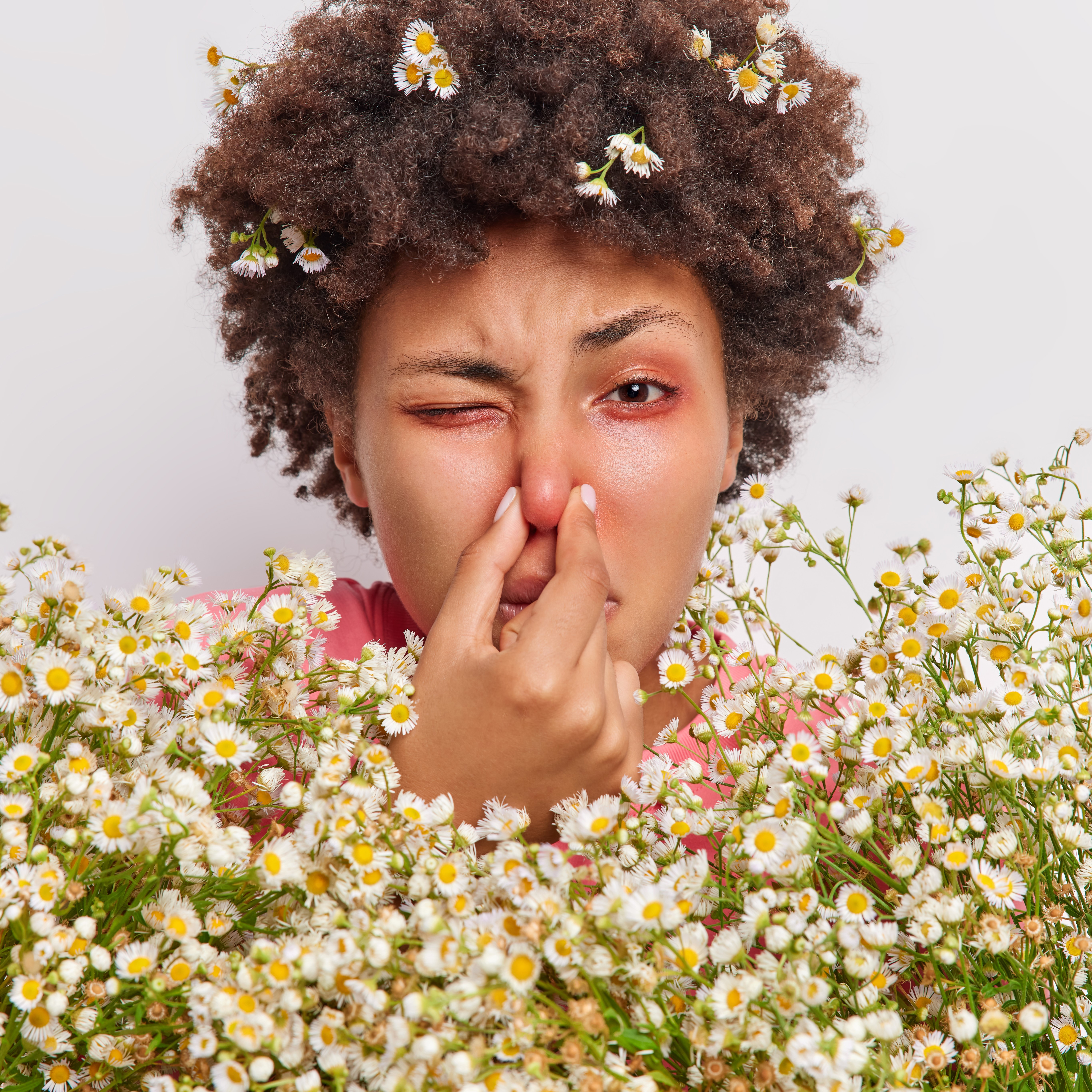 Comment soulager les allergies saisonnières naturellement? La Sauge Bleue